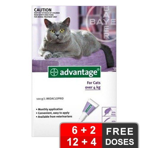 Buy Advantage Cats over 9lbs (Purple) at Lowest Price