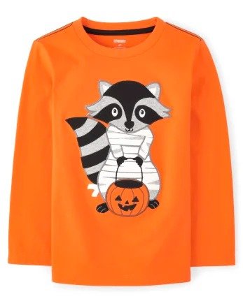 Boys Long Sleeve Embroidered Raccoon Mummy Top - Trick or Treat | Gymboree - SQUASHORG