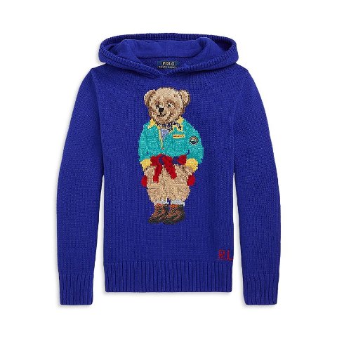 Polo Ralph LaurenBoys  Polo Bear Hooded Sweater - Little Kid, Big Kid
