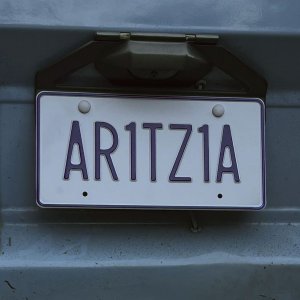 Aritzia Sale