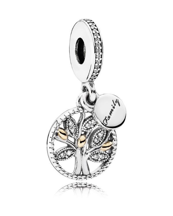 Moments Collection 14k Gold, Sterling Silver & Cubic Zirconia Family Heritage Dangle Charm