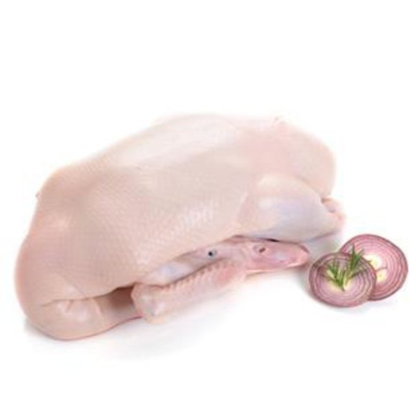 DUCK WITH HEAD 1PC