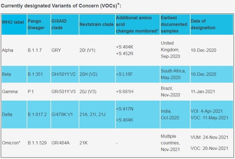 WHO 新冠病毒变异株 VOC