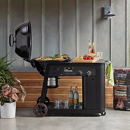 Pro Series Gas Assist Charcoal Grill