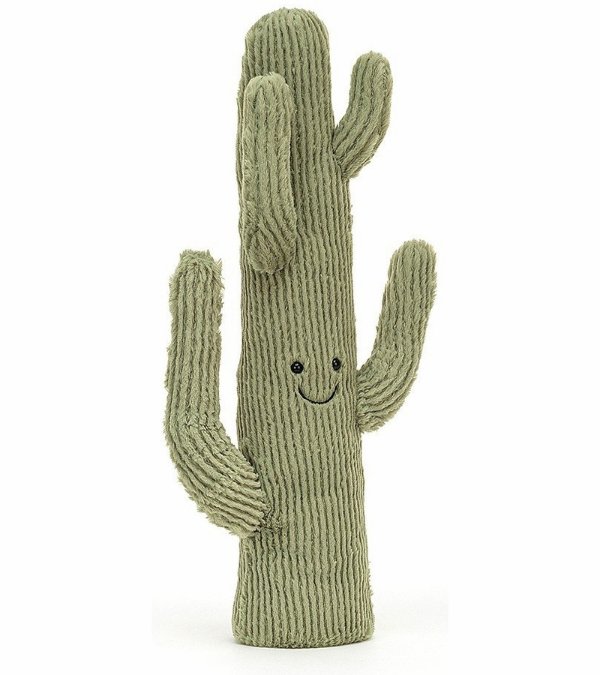 Amuseable Desert Cactus, 16"
