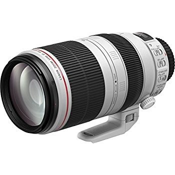 Canon EF 70-200 mm F/2.8 L IS II USM Lens