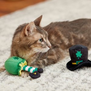 Chewy St. Patrick's Day Cat Shop