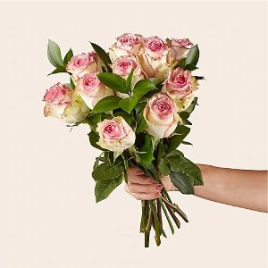 Under $50ProFlowers Valentine's Day Flowers and Gifts