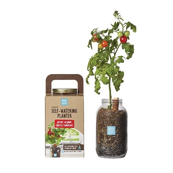 Self-Watering Planter from Apollo Box