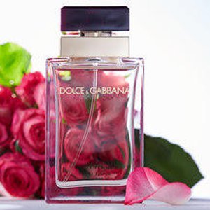 Dolce & Gabbana Perfume Sale @ Zulily