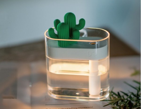 Humidifier Lamp With Mini Cactus