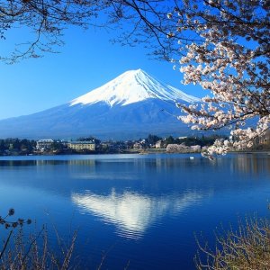 Japan: 9-Night Upscale Tour w/Air, Transfers, Breakfast & More
