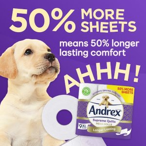 Andrex 纸巾闪促 9卷三层加厚史低£7，湿厕纸3p/张