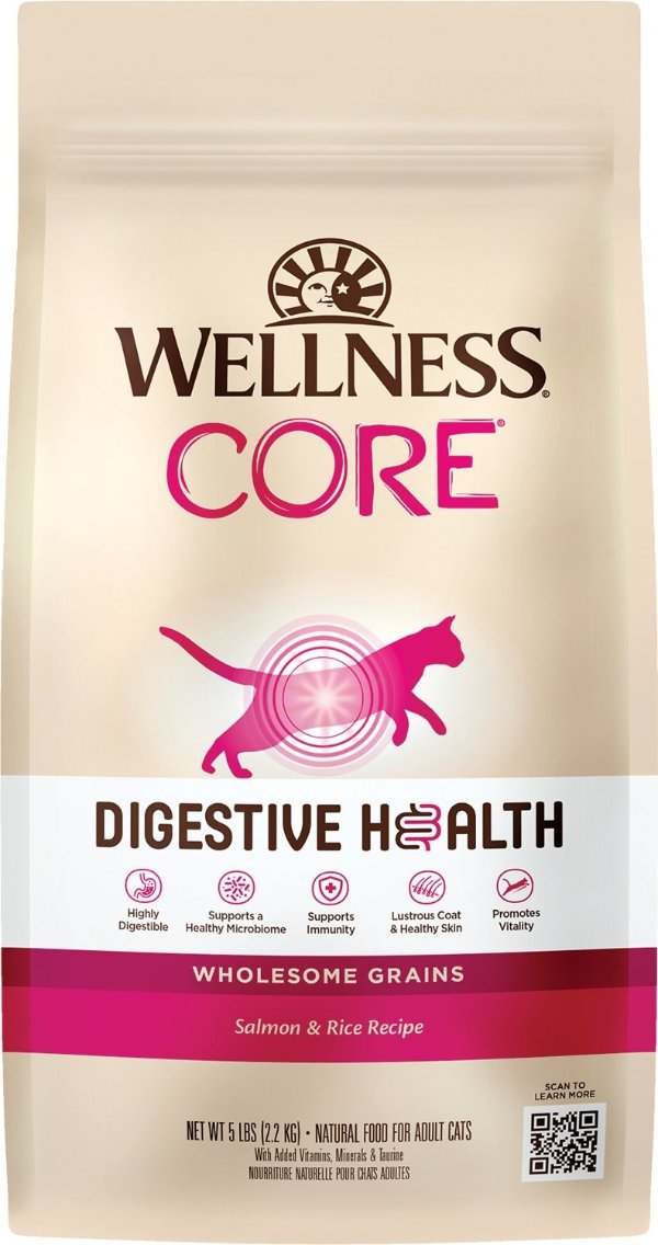 Digestive Health Wholesome Grains Salmon & Rice Recipe Dry Cat Food, 5-lb bag - Chewy.com
