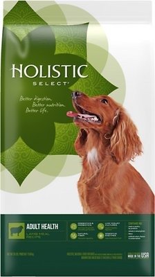 Holistic Select Adult Health Lamb Meal Recipe Dry Dog Food, 30-lb bag - Chewy.com