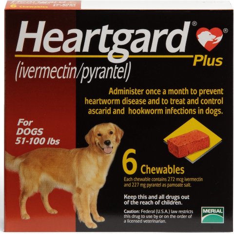 heartgard plus chewy