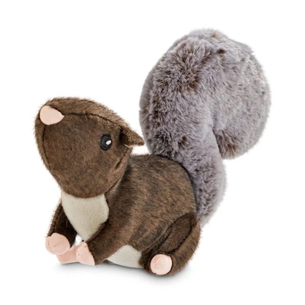 Leaps & Bounds Wild Plush Squirrel Dog Toy, Small | Petco