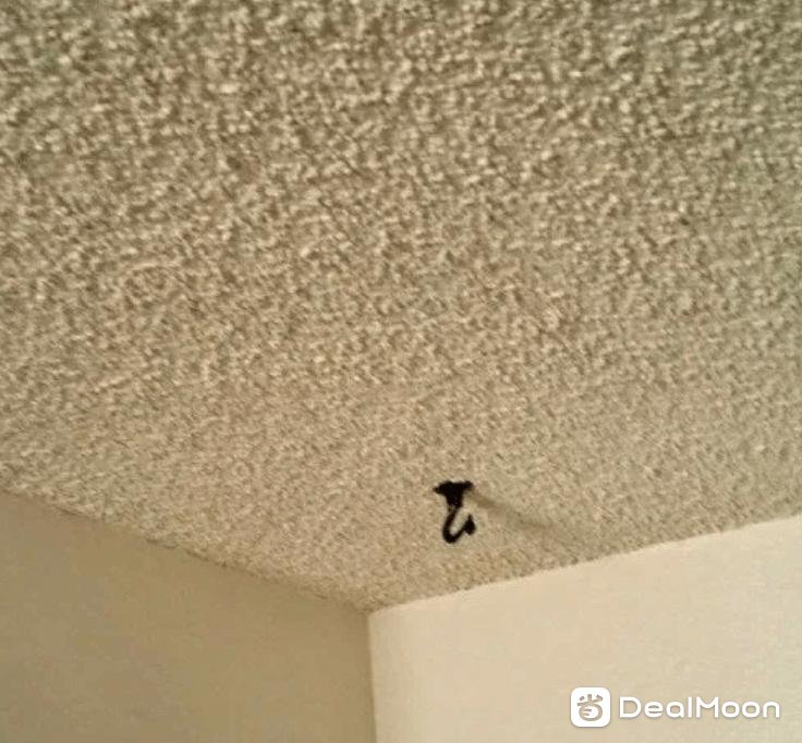 ceiling.png