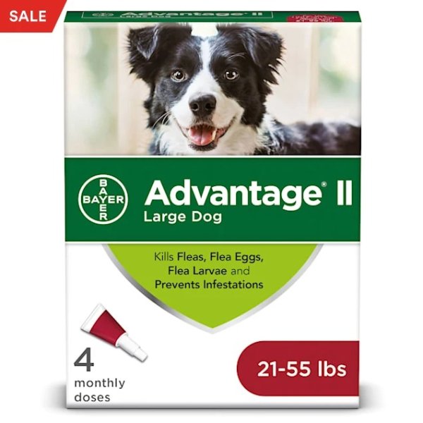 Bayer Once-A-Month Topical Flea Treatment for Dogs & Puppies 21 to 55 lbs., Pack of 4 | Petco