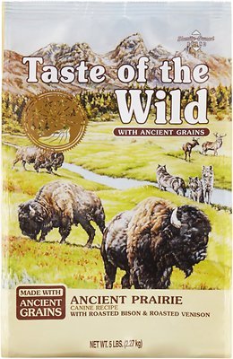 TASTE OF THE WILD Ancient Prairie with Ancient Grains Dry Dog Food, 28-lb bag - Chewy.com
