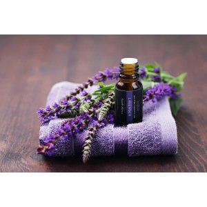 Anjou Aromatherapy Top 6 Essential Oils Gift Kit 100% Pure Therapeutic Grade, 10ml