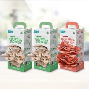Back to the Roots Organic Mushroom Grow Kit 3-Pack