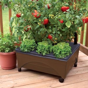 EMSCO GROUP 20-in W x 24-in L x 10-in H Earth Brown Resin Raised Garden Bed