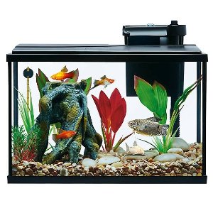 Top Fin Essentials Aquarium Starter Kit