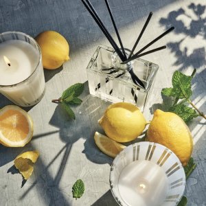 NEST Fragrances Select Reed Diffusers Sale