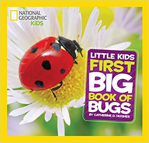 Little Kids First Big Book of Bugs (Little Kids First Big Books)