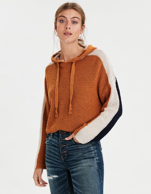 AE Color Block Hooded Sweater