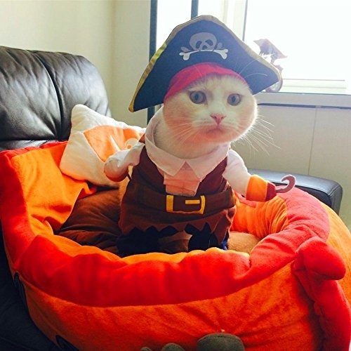 海贼王猫咪套装