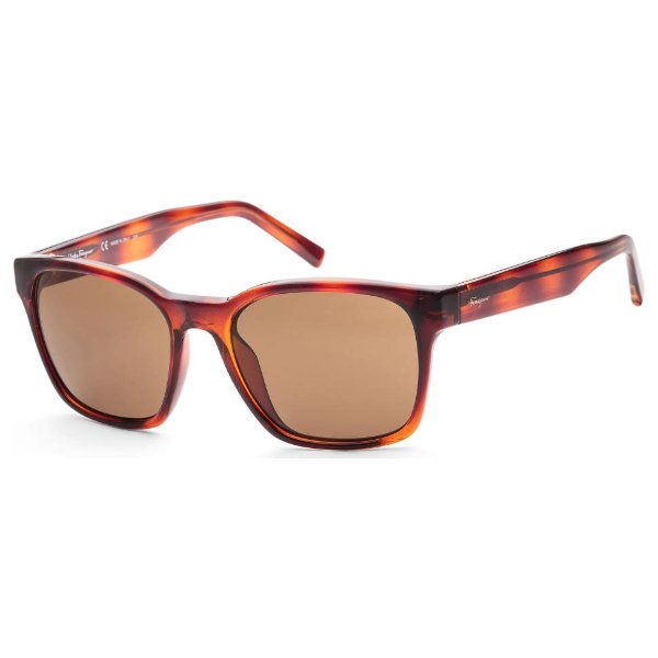 Ferragamo Women's Sunglasses SF959S-5518214