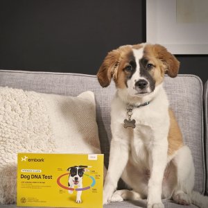 Petco Selected Dog Health & Wellness Products on Sale