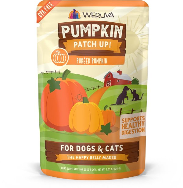 Pumpkin Patch Up! Dog & Cat Food Supplement Pouches, 1.05-oz, case of 12 - Chewy.com