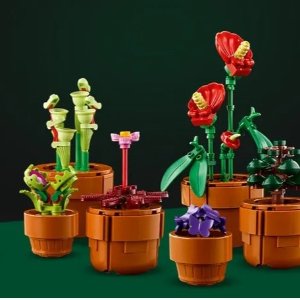 $49.99新品上市：LEGO官网 植物学系 迷你盆栽 10329 9️⃣盆🪴一次拥有