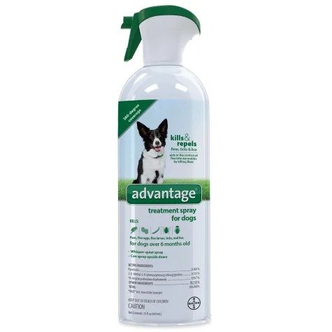 Flea & Tick Treatment Spray for Dogs, 15 fl. oz. | Petco
