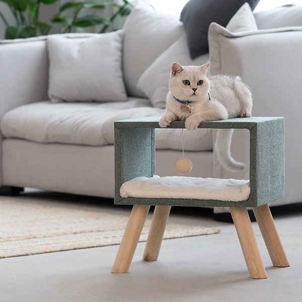 Minmalist Style Cat Bed - Chewy.com
