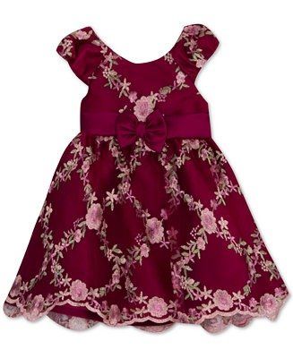 Baby Girls Embroidered Mesh Dress