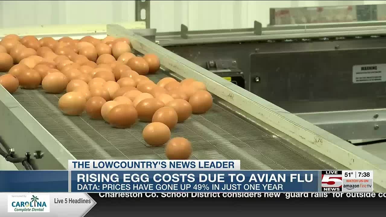 华盛顿州农场100万只鸡染禽流感，Costco鸡蛋断供，价格飙升50%！