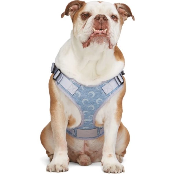 Marine Serre - SSENSE Exclusive Blue Upcycled Denim Dog Harness