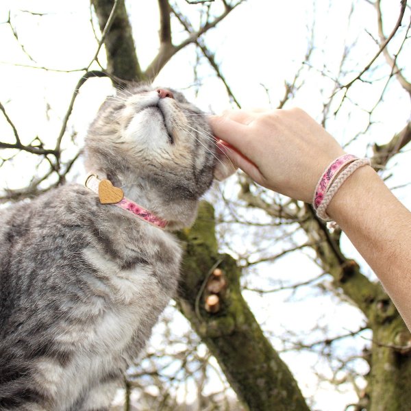 Pettsie Heart Cat Collar with Friendship Bracelet, Pink - Chewy.com