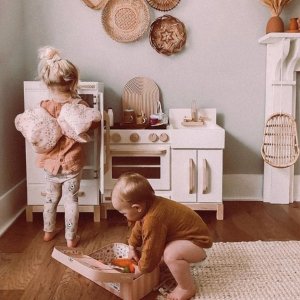 能掏空钱包的玩具，买吗？