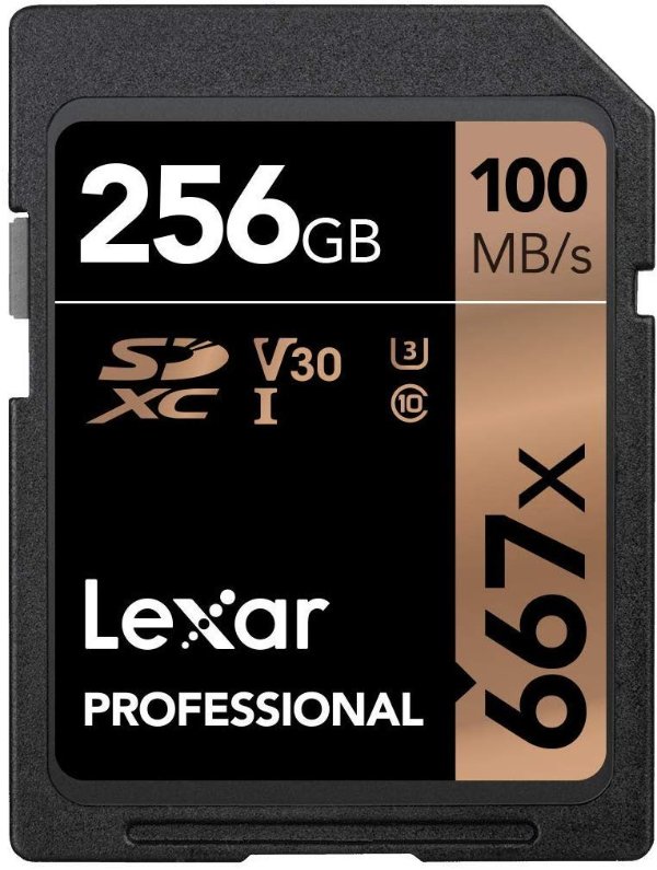 256GB Professional 667x UHS-II SDXC Memory Card