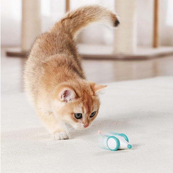 Interactive Cat Toys for Indoor Cats, Automatic Cat Toy with LED Lights, Cat Mouse Toys, Kitten Toys, Pet Toys, Smart Electric Cat Toy, USB Rechargeable, Auto On/Off
