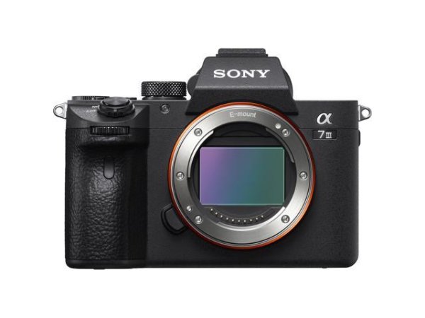 Sony Alpha a7 III Mirrorless Digital Camera (Body Only) - Newegg.com