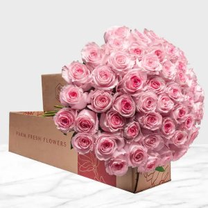 Costco 50-stem Light Pink Roses