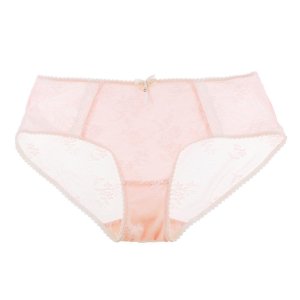 Eve s Temptation 经典蕾丝内裤