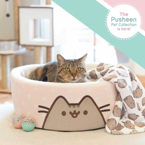 Pusheen Cat Products on Sale