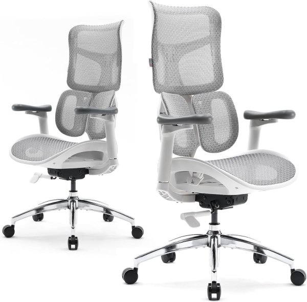 Doro S100 Ergonomic Office Chair